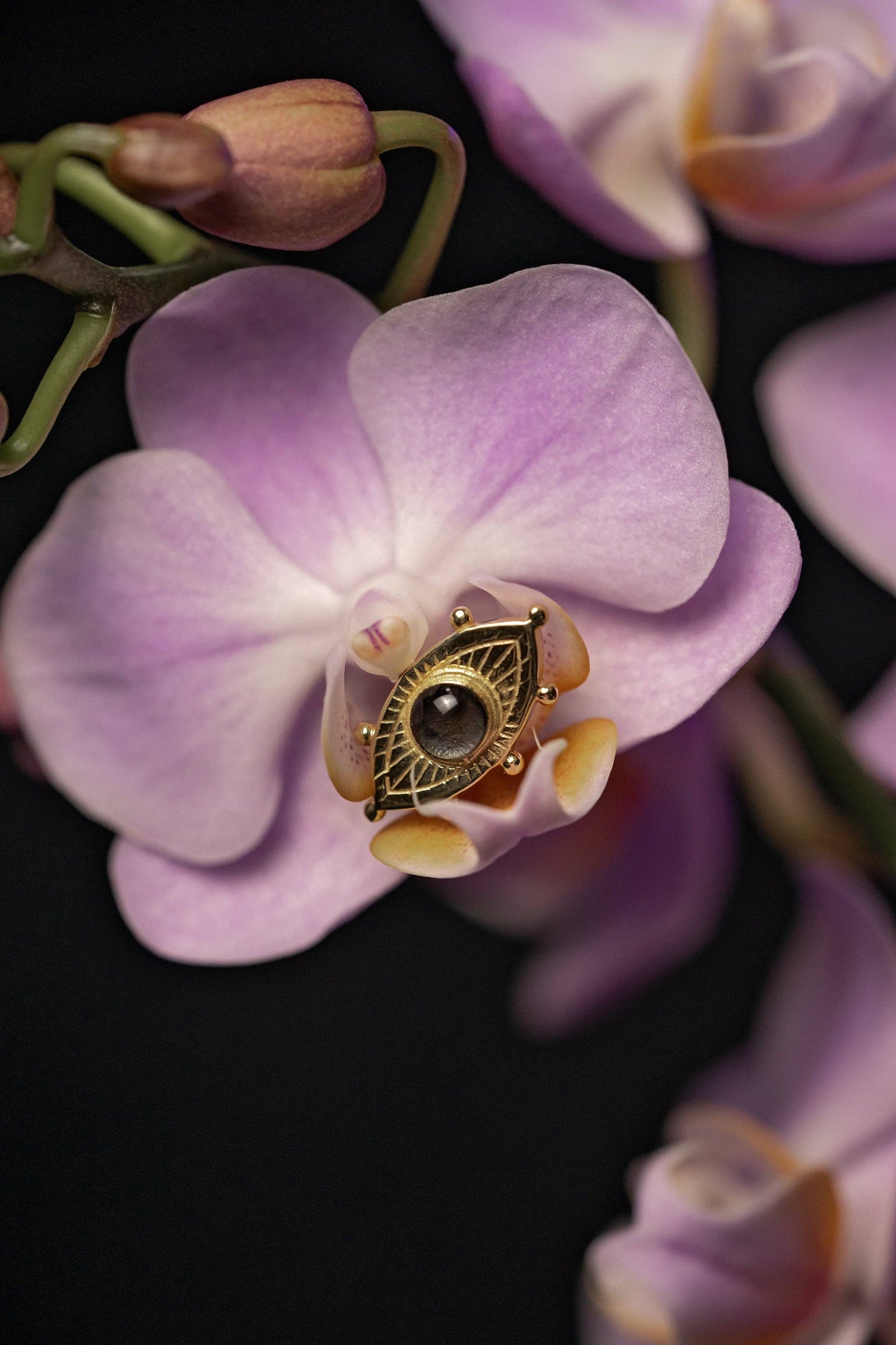 ANIMA Eye Stud Earrings