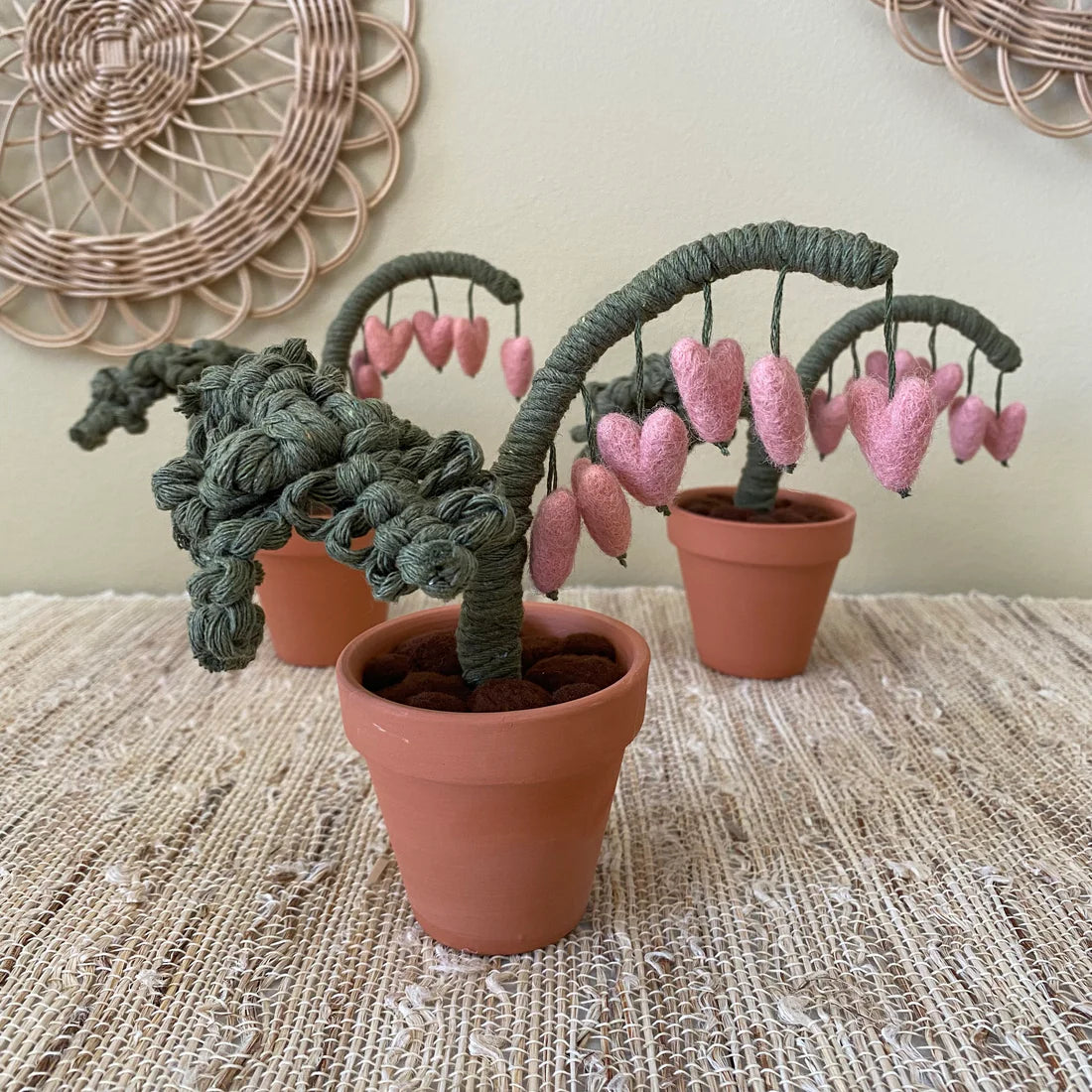 Bleeding Heart Plant