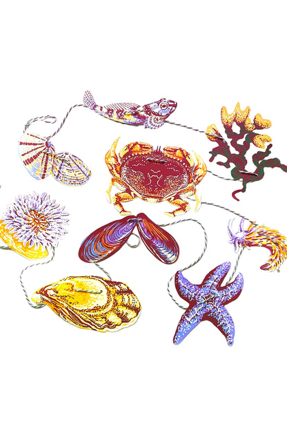 Tide Pool Paper Garland