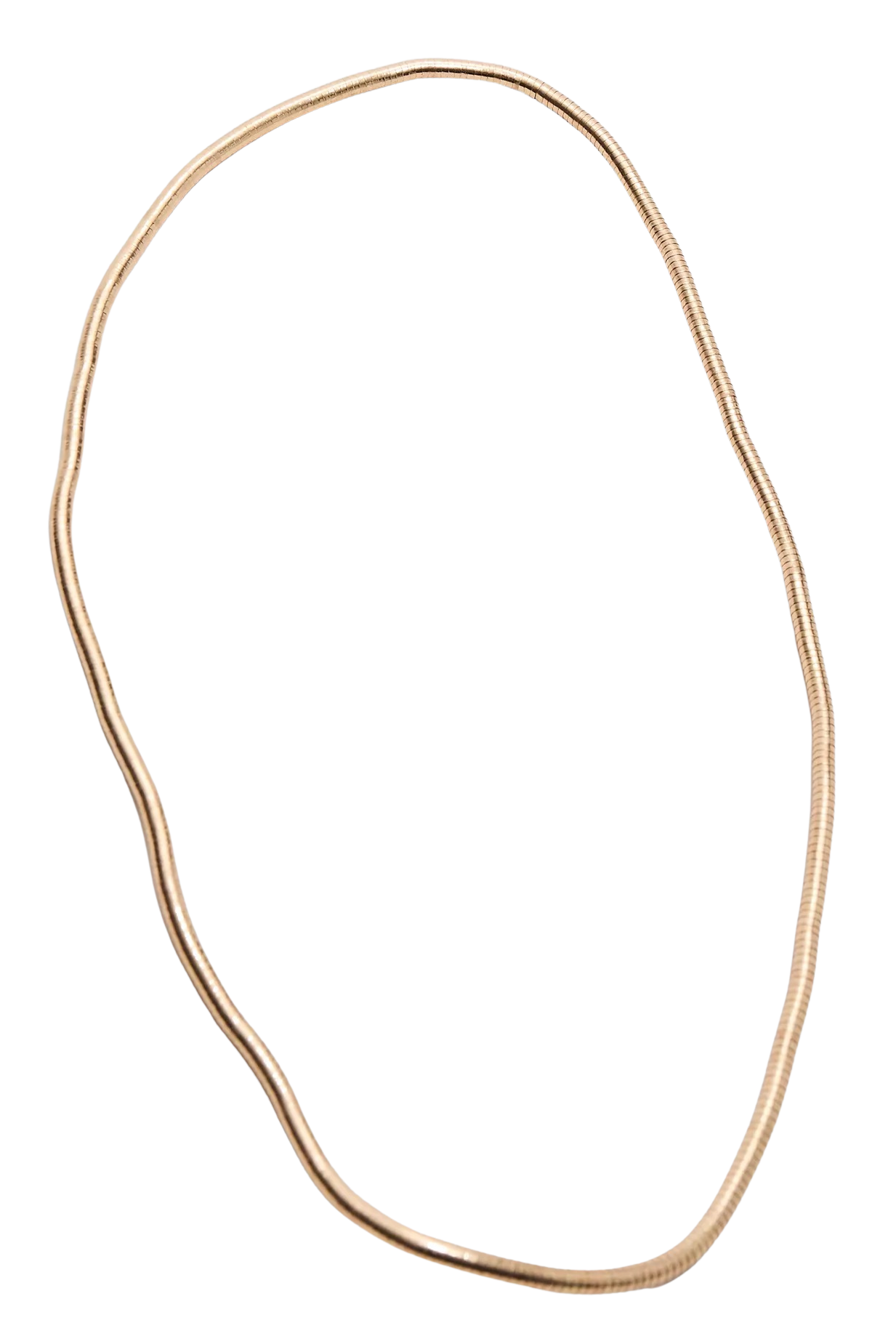 Bendable Snake Chain Necklace/Bracelet