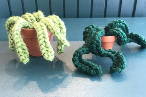 Curly Knit Succulent