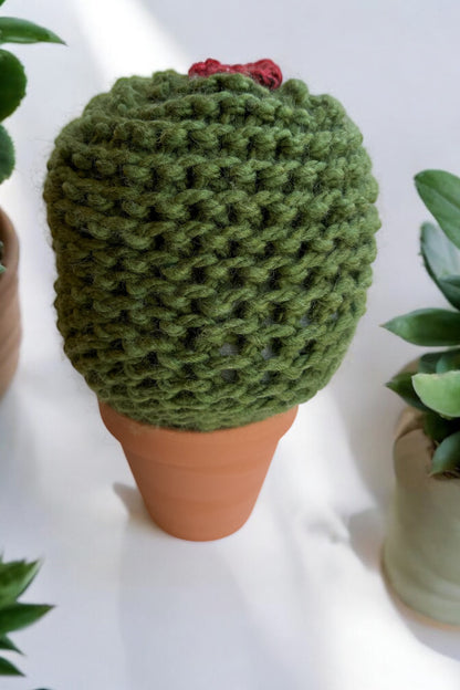 Extra Large Barrel Knit Cactus