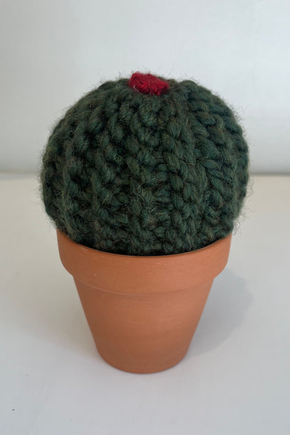 Barrel Knit Cactus