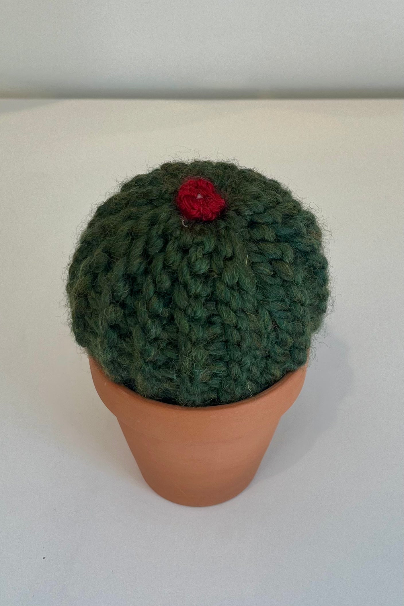 Barrel Knit Cactus