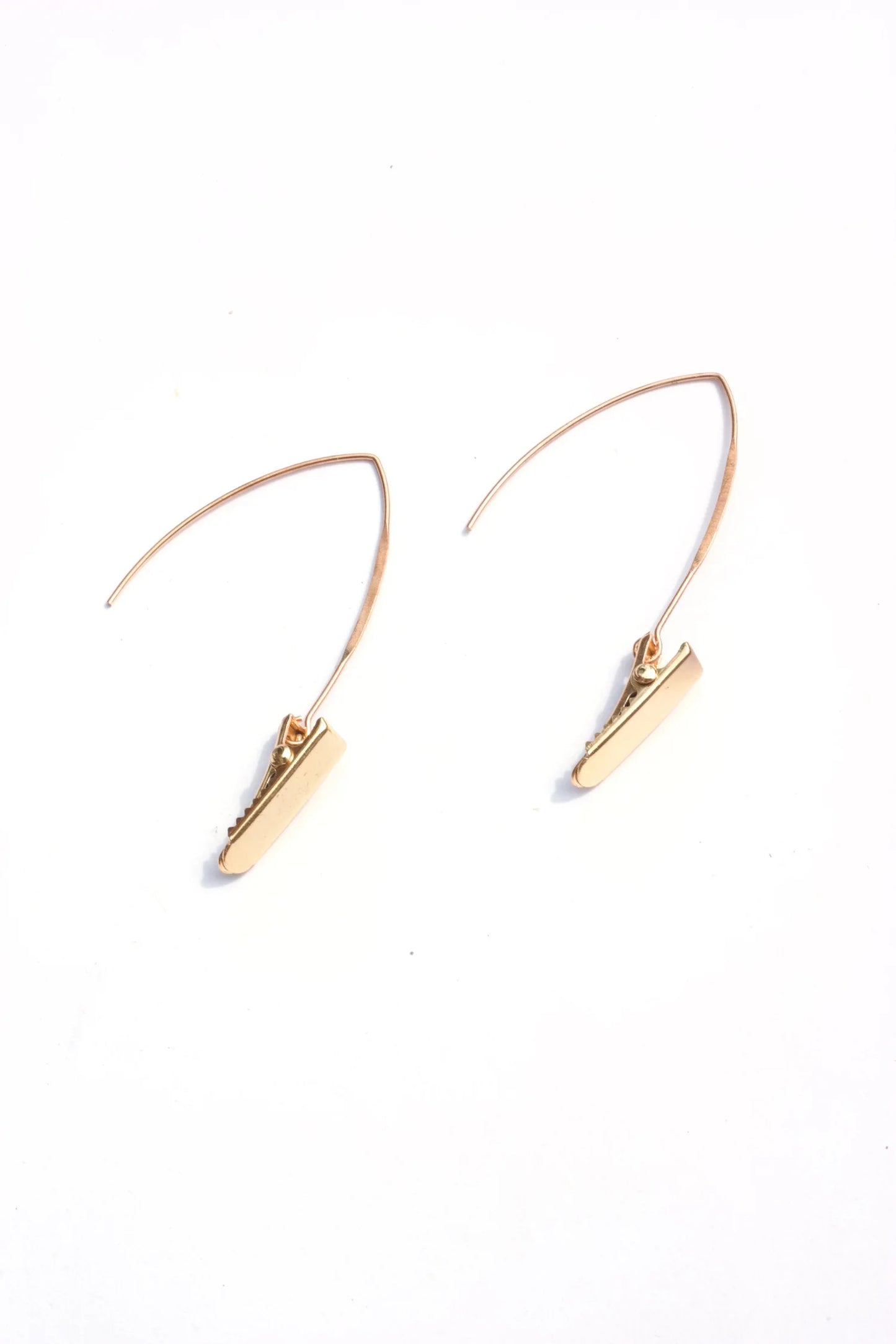 Natural Specimen Earrings Long