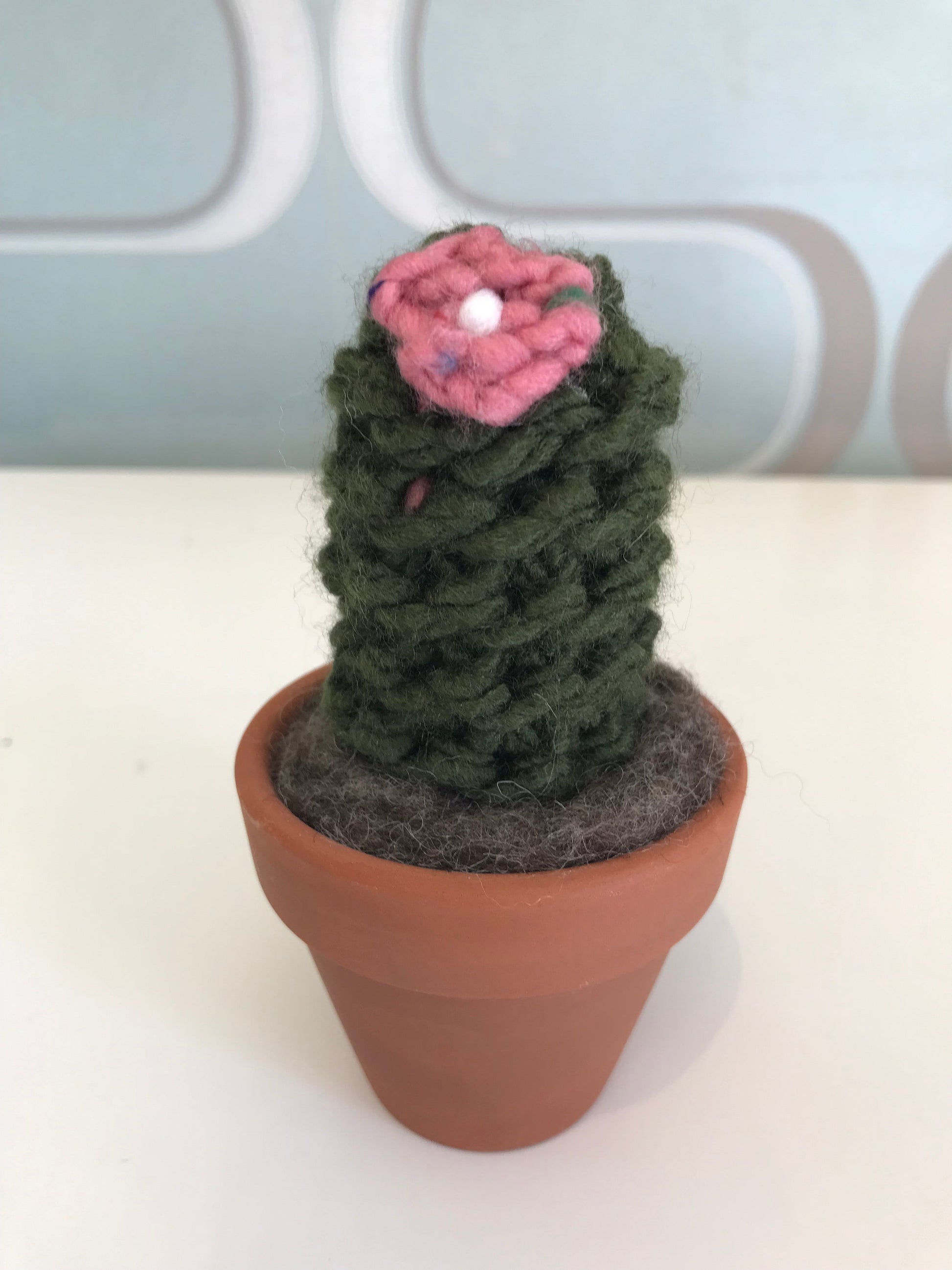 Knit Cactus by Curl Country, medium