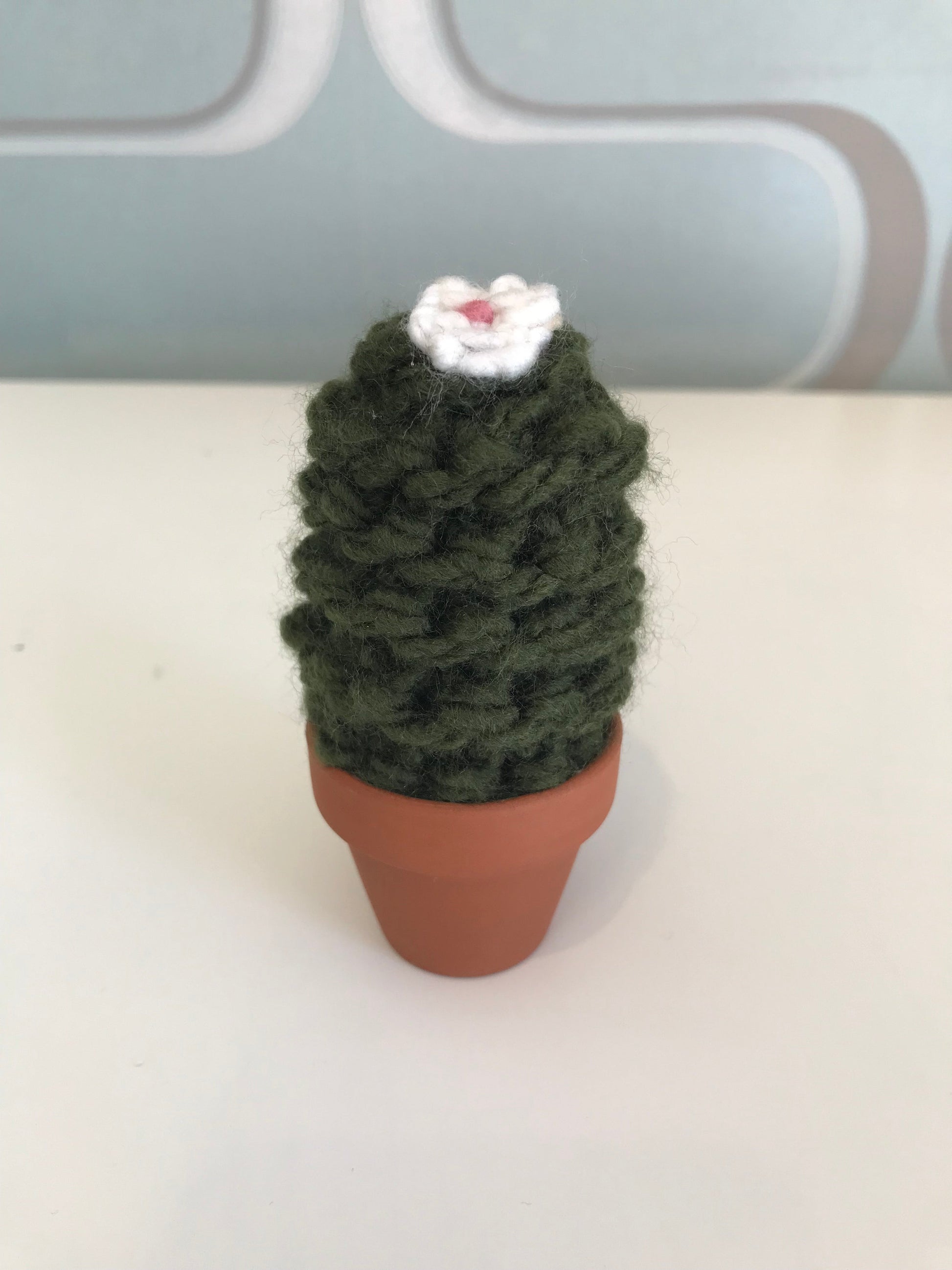 Knit Cactus by Curl Country, small