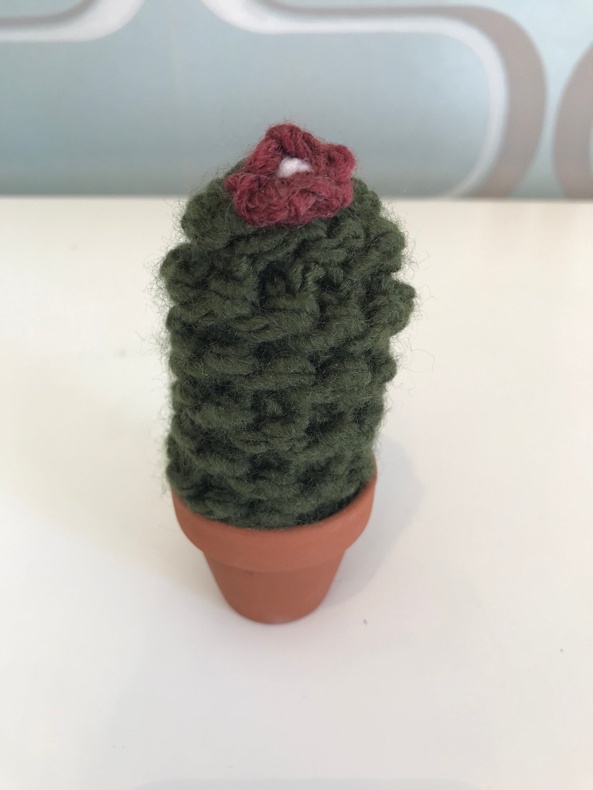 Knit Cactus by Curl Country, small