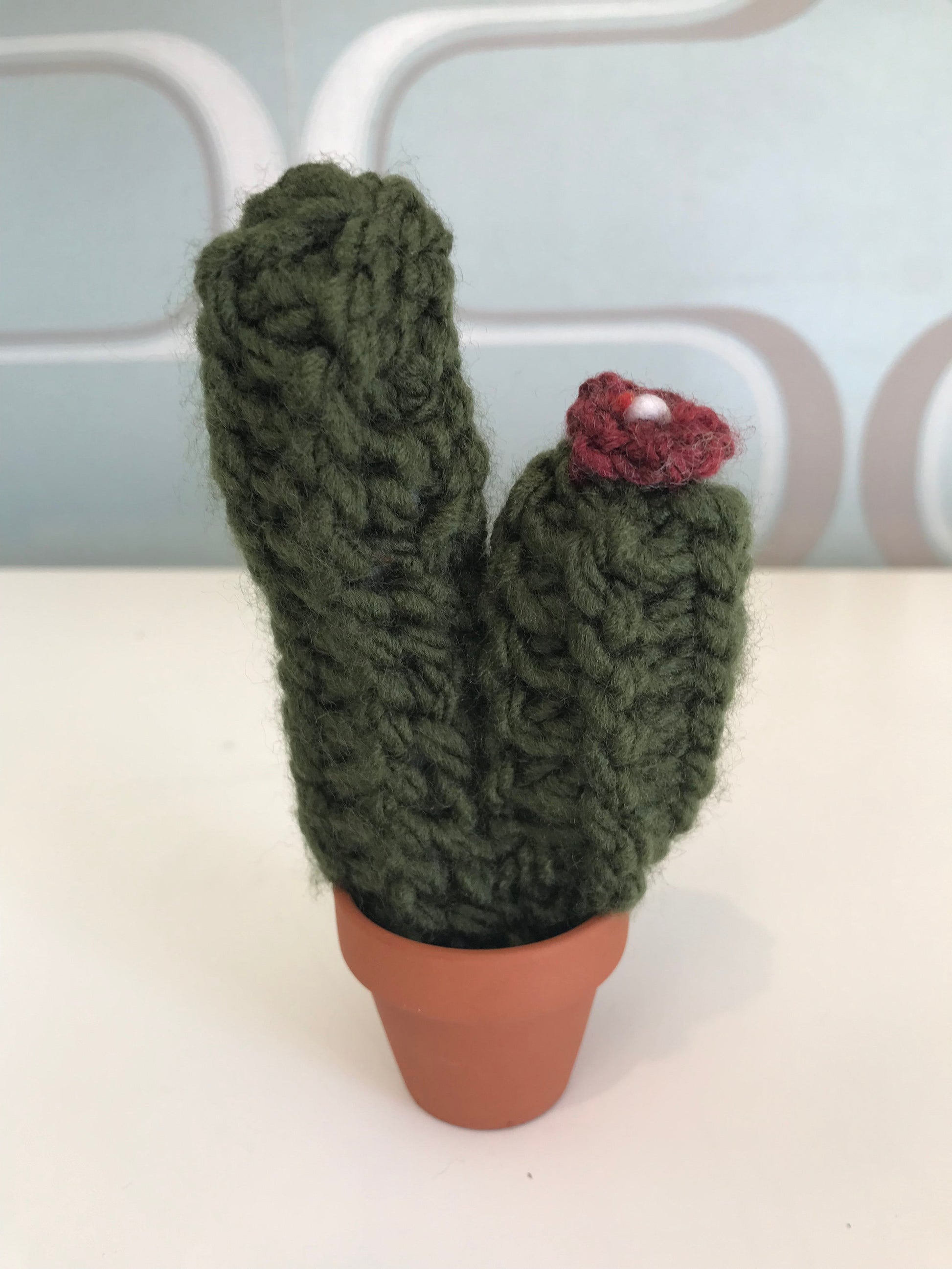Knit Cactus by Curl Country, medium