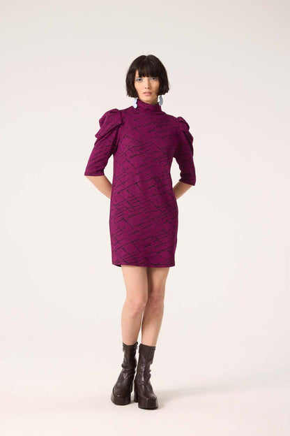 A woman wearing the Nostalgia Dress by Cokluch in Magenta, standing in front of a white  background.