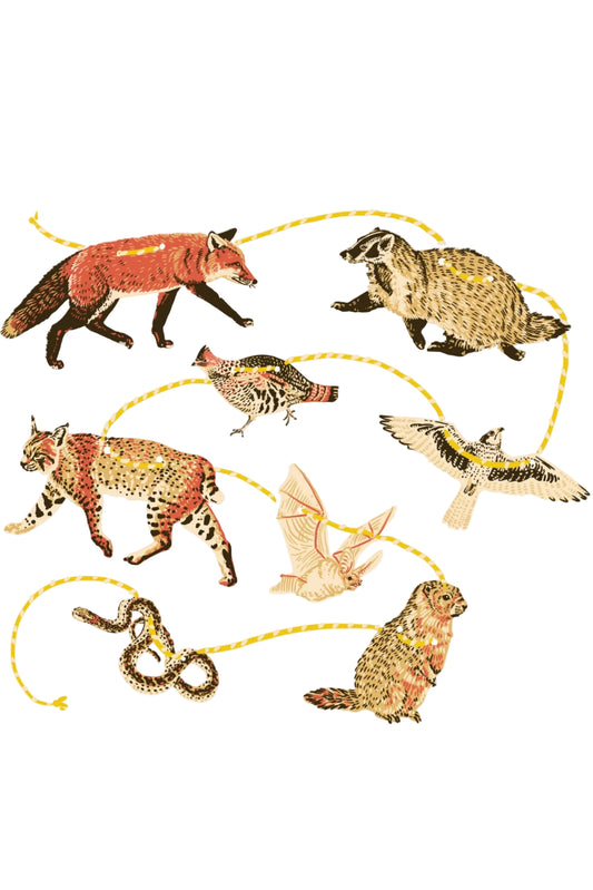 Pacific Northwest Grassland Paper Garland