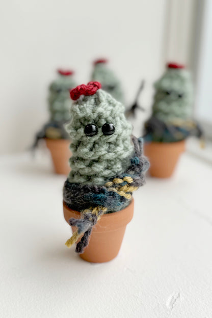 Knitted Winter Cacti by Curl Country, with hats scarves and set in terracotta pots, are shown in front of a white background. 