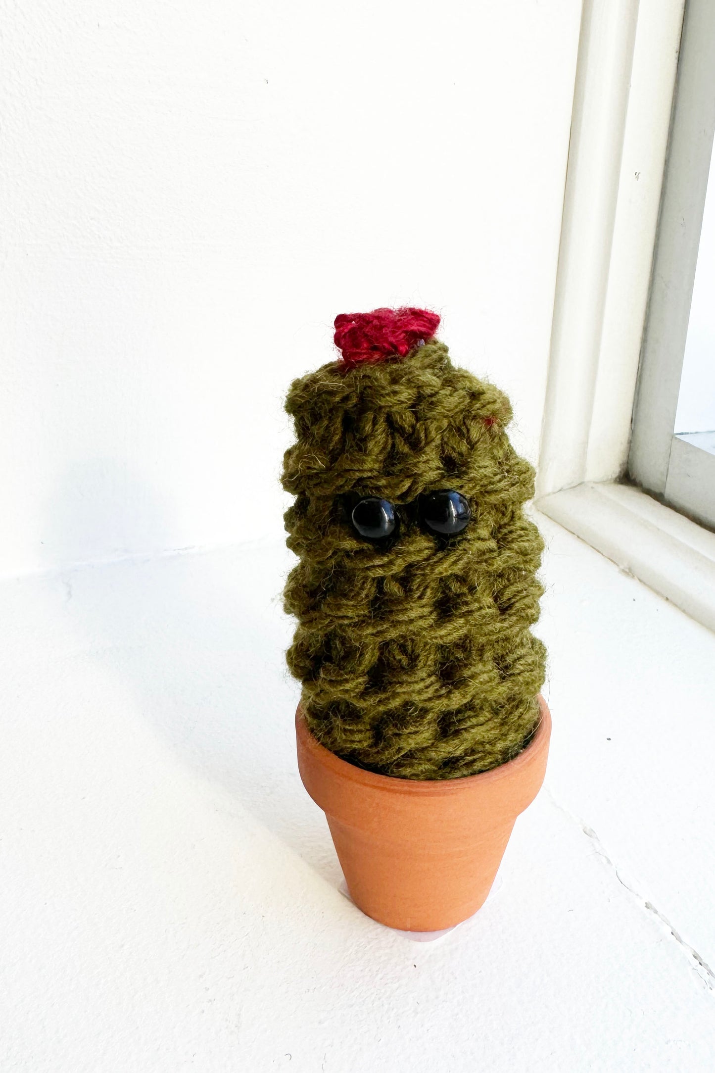 Emotional Support Knit Cactus