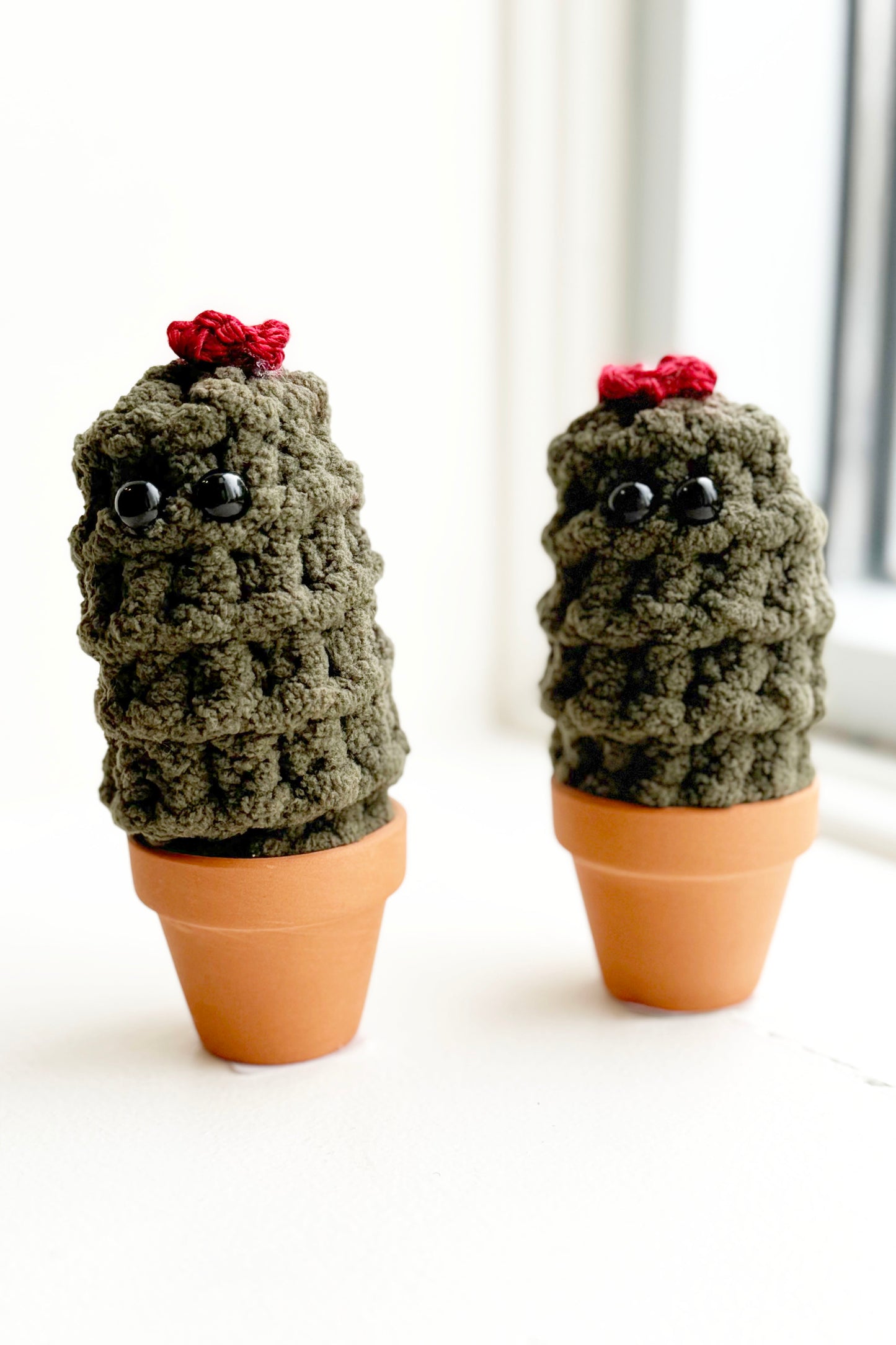 Emotional Support Knit Cactus