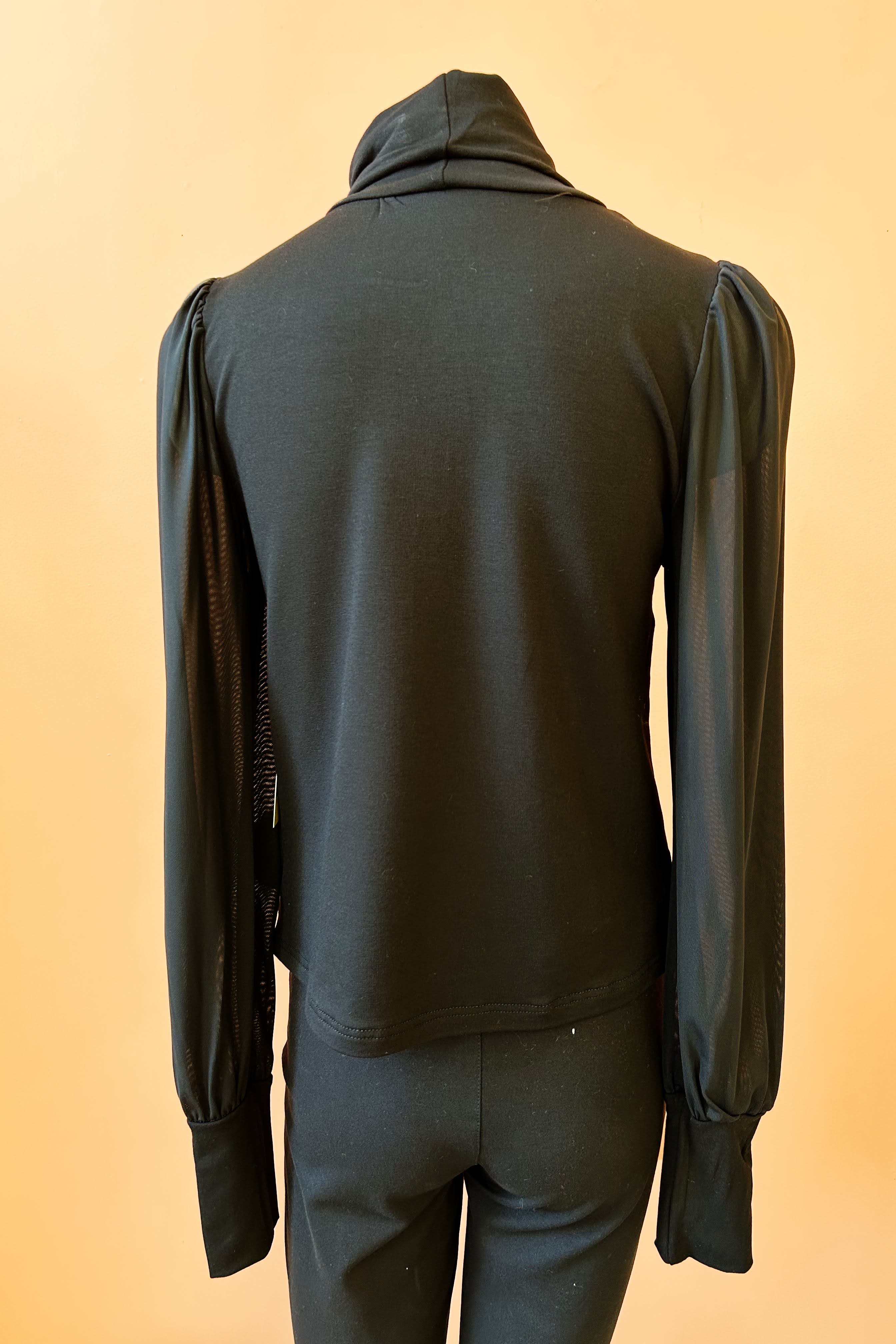 Turtleneck Top by Misstery, Black with Sheer Sleeves, back view, high neck, puffed sleeves with gathered cuffs, sizes S to XL, made in Toronto 